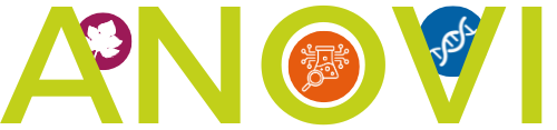 LOGO ANOVI