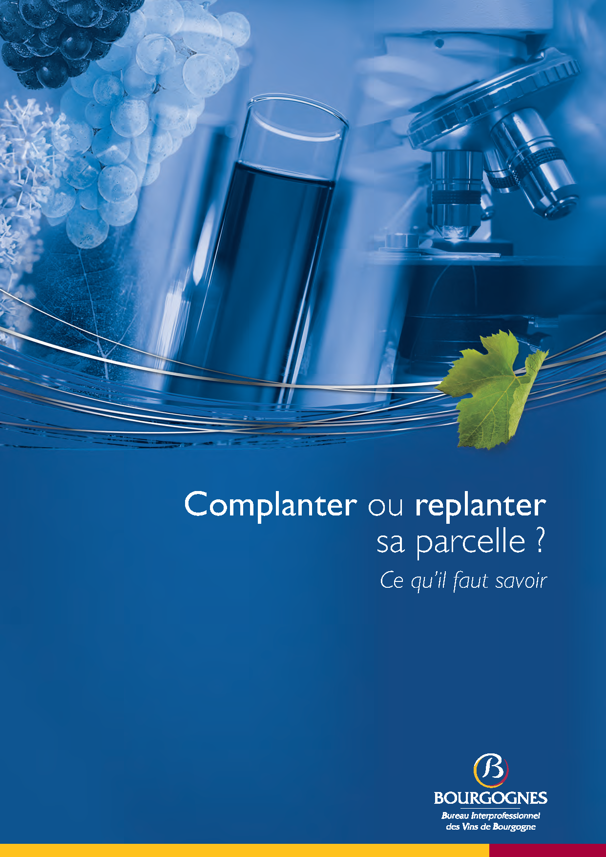 Replanter ou complanter sa parcelle ? Ce qu'il faut savoir