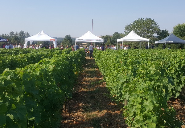Le matériel de curetage en Centre Loire
