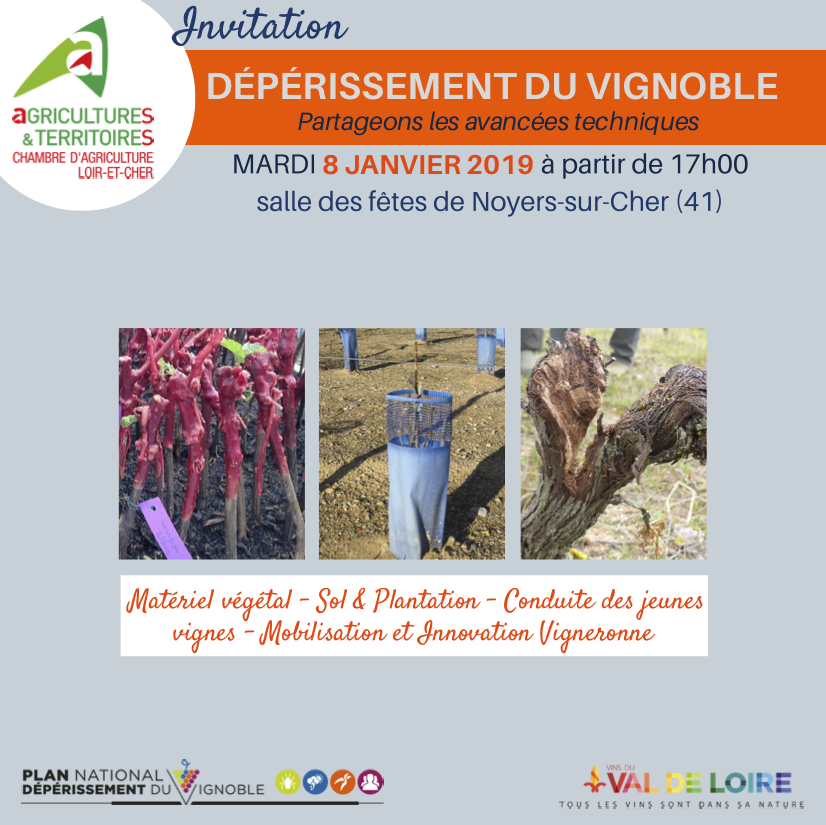 Soirée Partageons les avancées techniques sur le dépérissement de la vigne