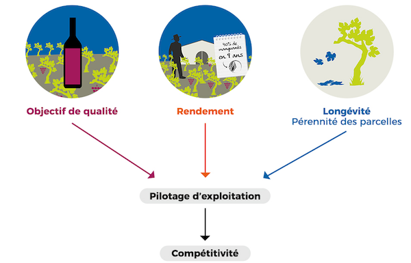 Rendement et longévité, un équilibre à rechercher