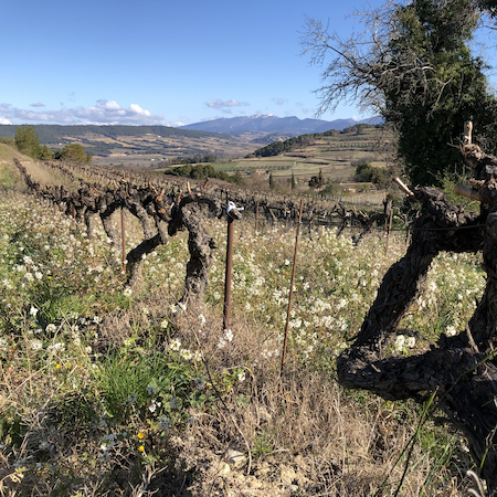 PNDV Tour dans le Vaucluse