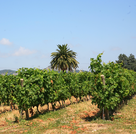 PNDV Tour dans le Var