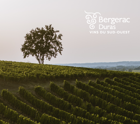 Journée technique du Vignoble Bergerac-Duras