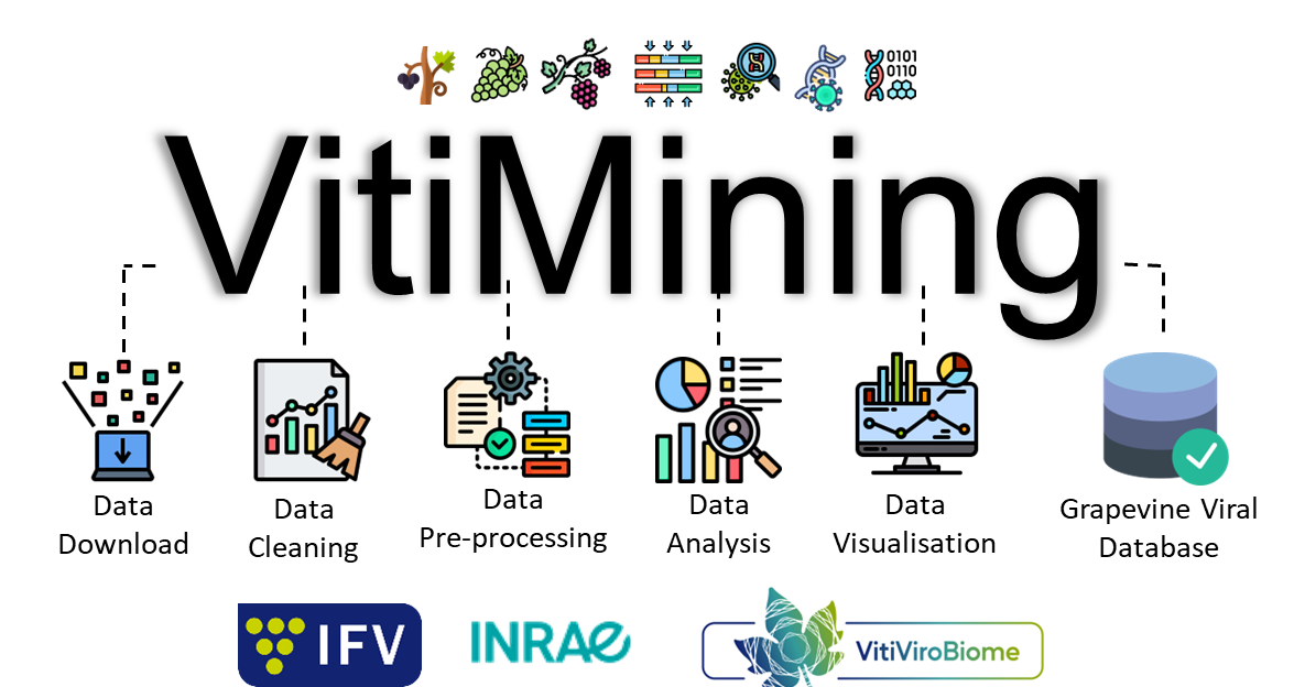 image vitimining