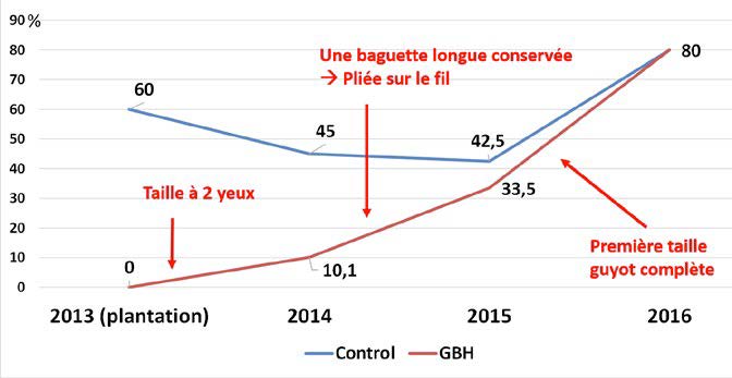 Convergence des statuts sanitaires des deux types de plants