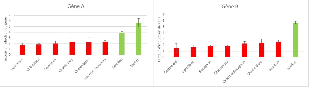 Exemple induction de deux gènes