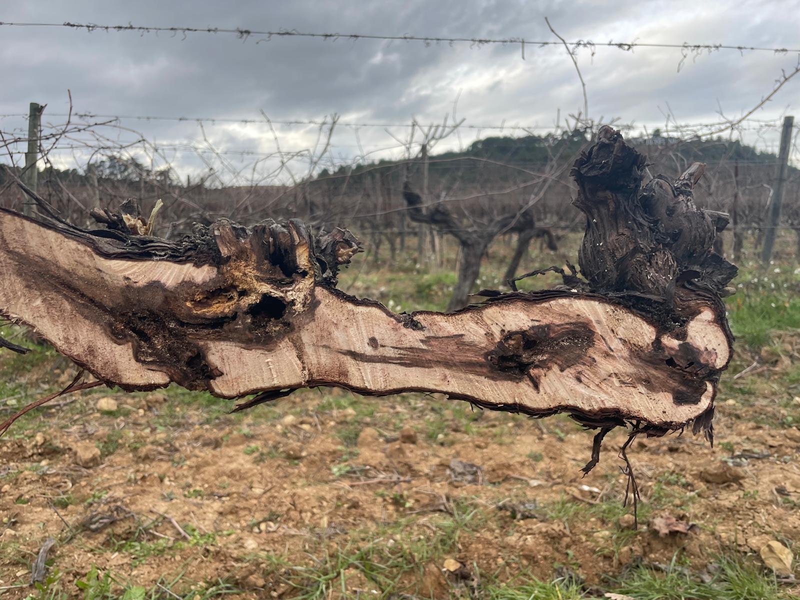 Réunion 10 février 2026 Provence Bras Coupé