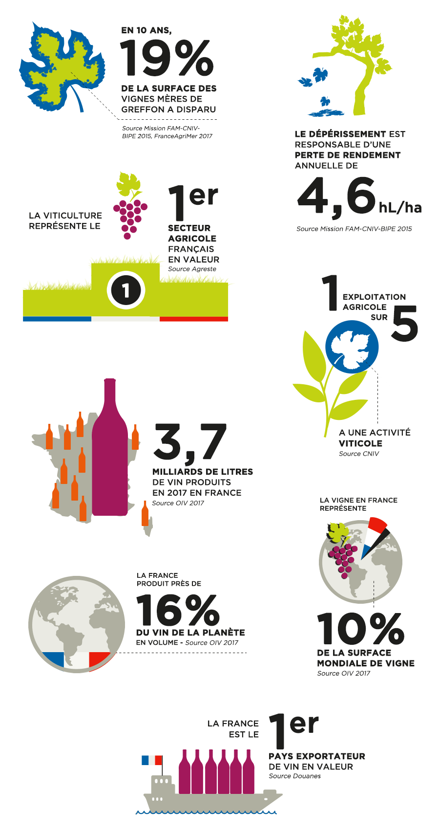 Les chiffres clés du dépérissement de la vigne