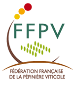 La Fédération française de la pépinière viticole (FFPV)