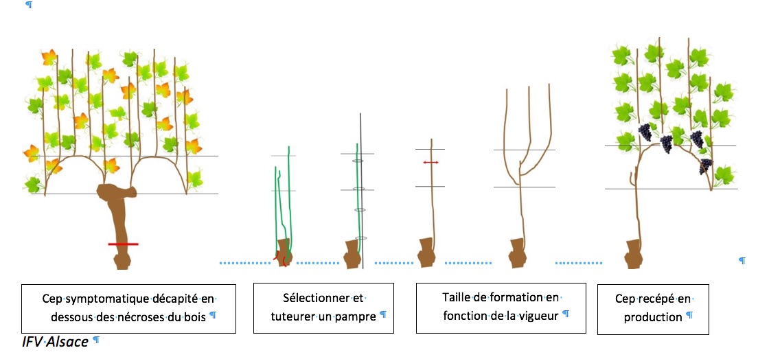 recepage forcé