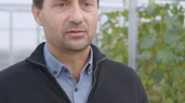 Philippe Gallusci Serres Inra Bordeaux