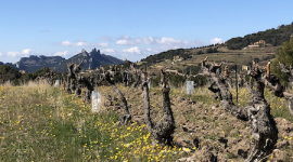 Vue sur le village de Suzette