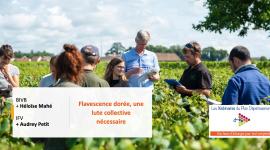 Couverture Webinaire Lutte collective