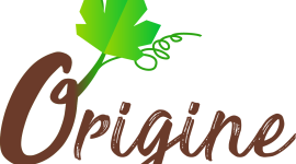 logo origine