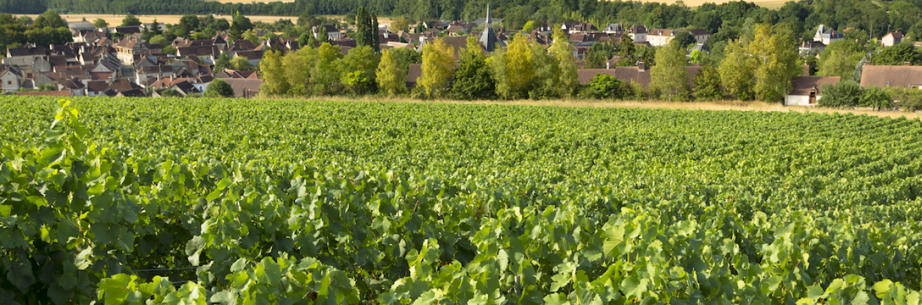 Des lauréats 2019 en cohérence avec les précédents programmes