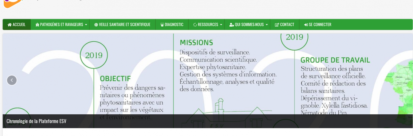 Création d'un groupe d'épidémiosurveillance sur le dépérissement