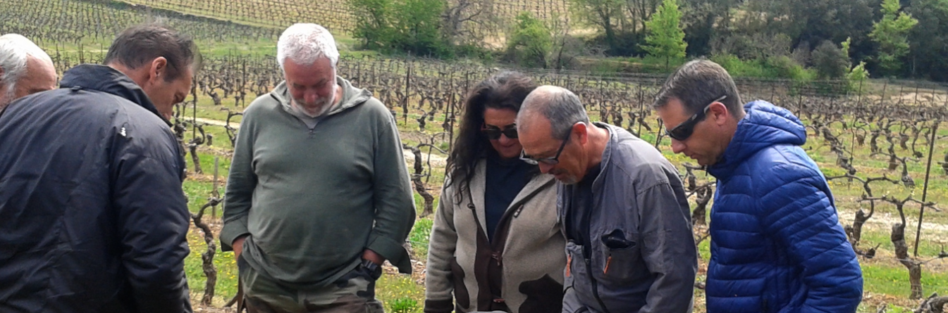 Les réseaux MIVigne, une expérience enrichissante et stimulante