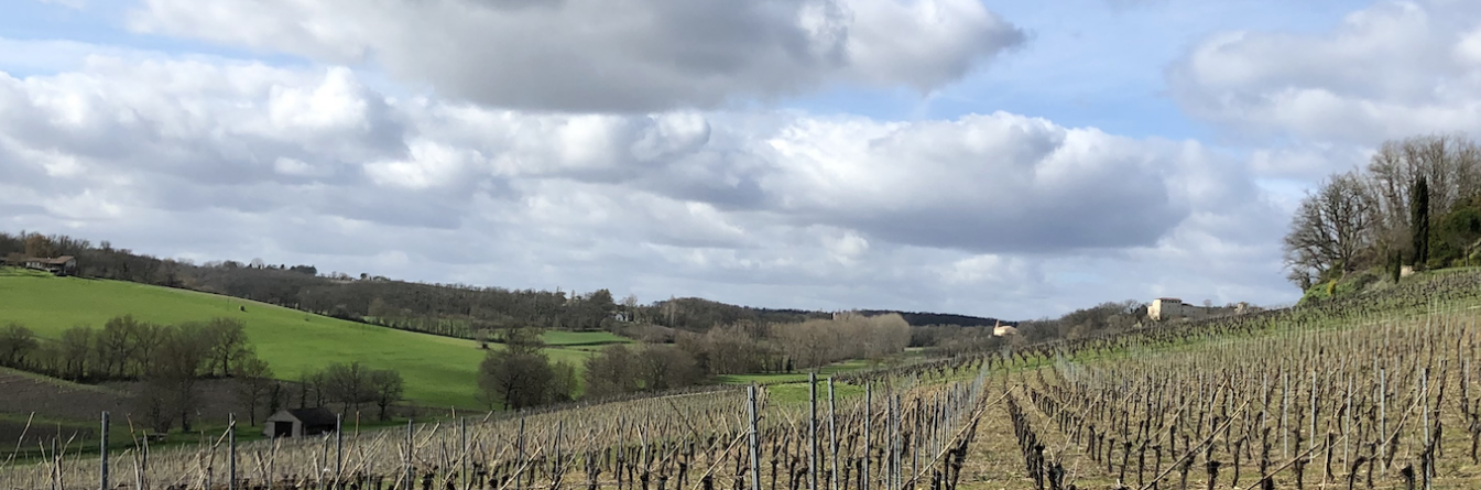 Les formations en lien avec les dépérissements dans le vignoble du Sud-Ouest