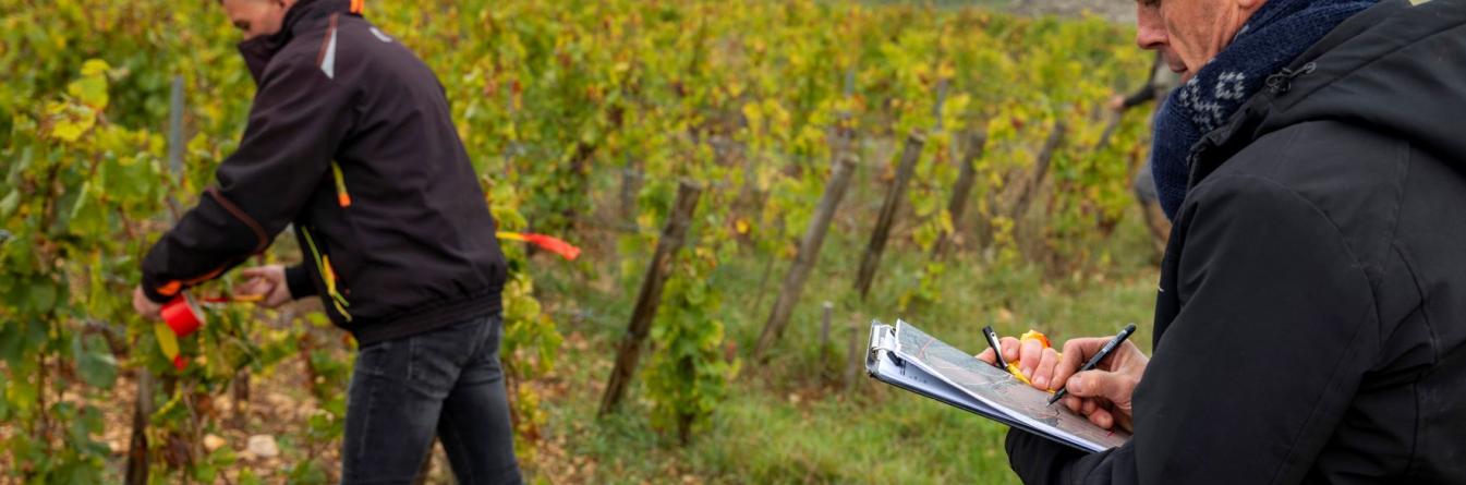 État des lieux du Bois Noir en Bourgogne