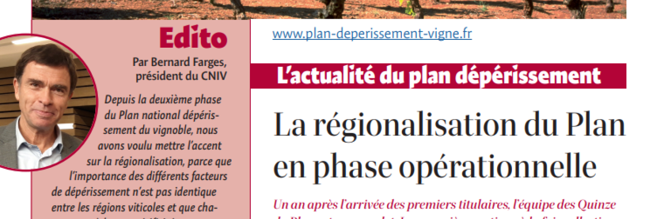 Echos du CNIV : hors-série sur la régionalisation du Plan ! 