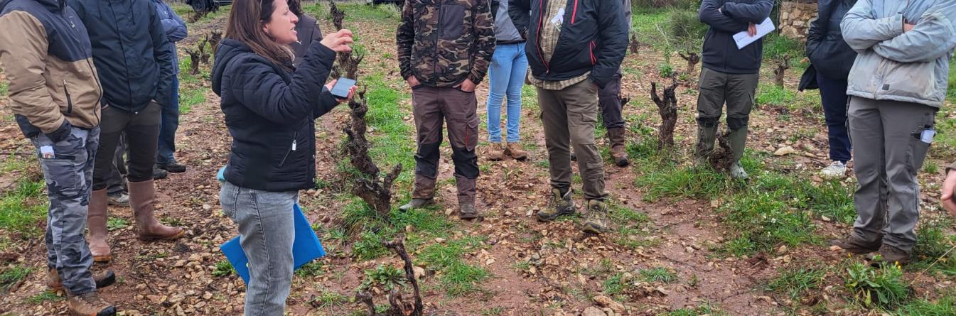 Echanger directement en bout de vigne pour relier recherche et terrain