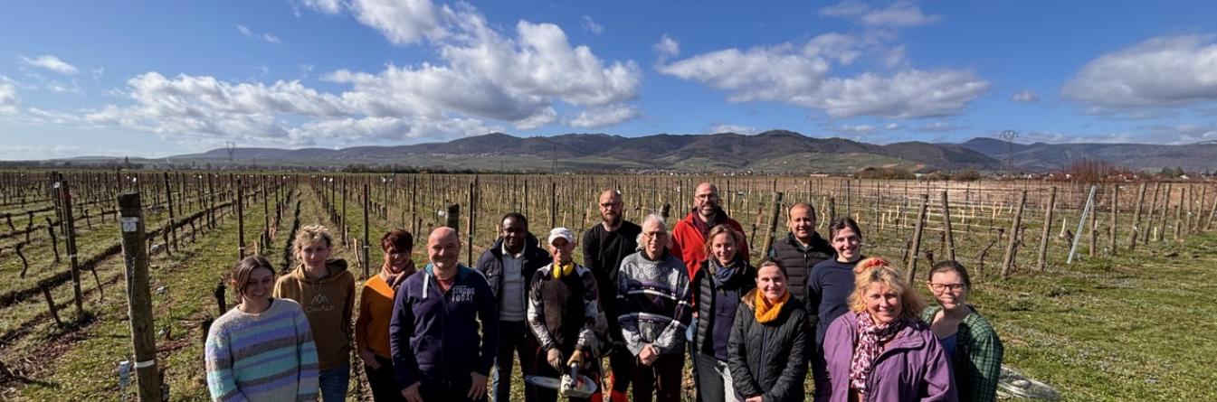 PROJET DIVESCA :  FAIRE DE LA SÉLECTION UN MOYEN DE LUTTE CONTRE L’ESCA