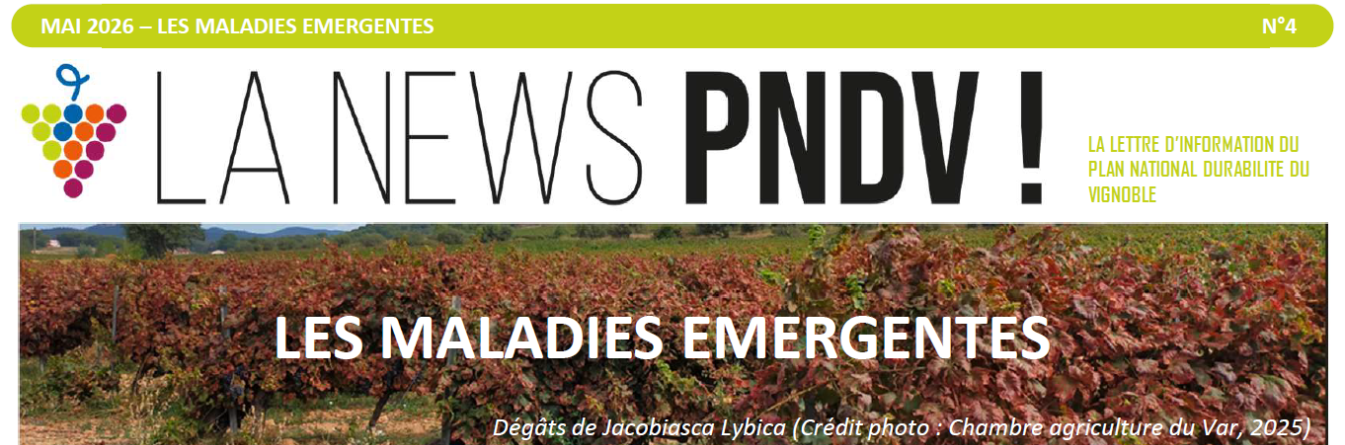 NEWS Mai 2026 - Les maladies émergentes