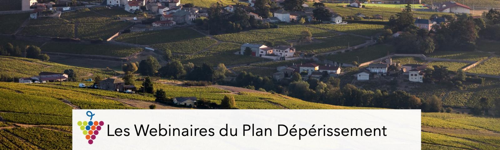 WebinaireVignobleBeaujolaisE.Ramousse