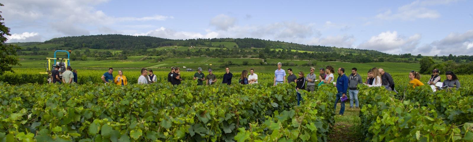 Bourgogne_M.Baudoin