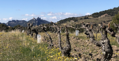 Vue sur le village de Suzette