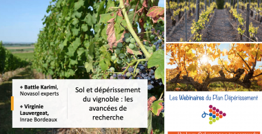 Webinaire recherche Sols et dépérissements