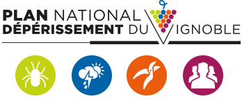 Plan National Dépérissement du vignoble